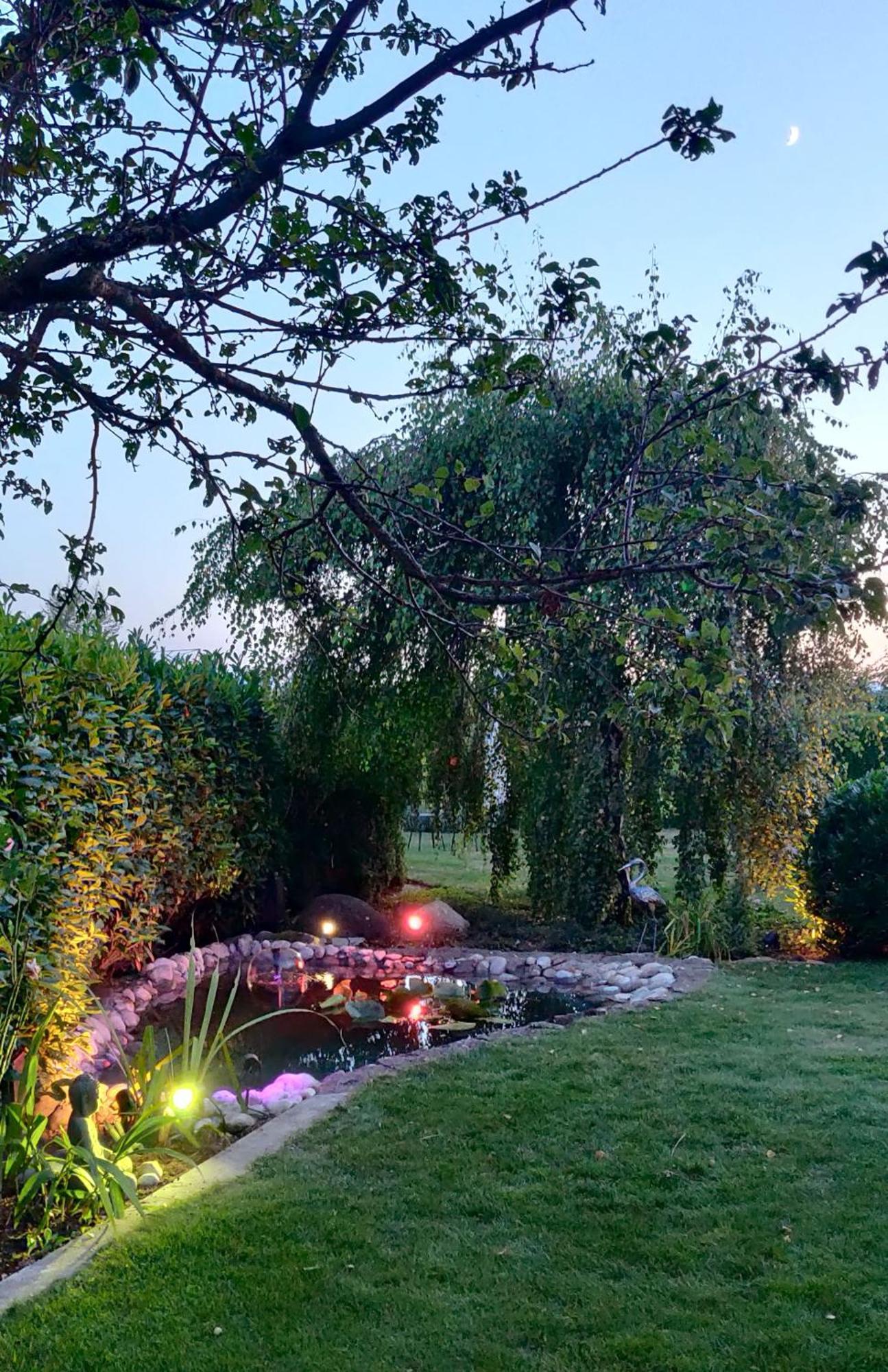 Hillside Homestay Near Luzern By Menbergs Harmony Homestay Hildisrieden Exterior photo